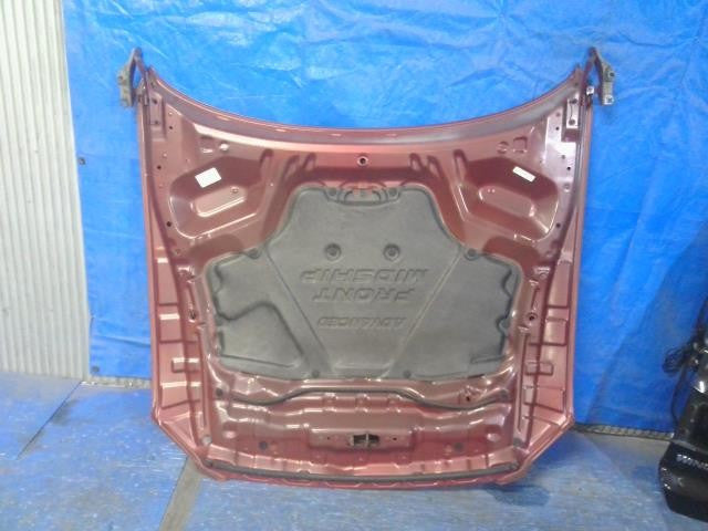 [BONNET]NISSAN STAGIA M35   #0BD3253174423